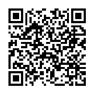 Lien vers votre campagne QRCode - Collecte de fonds