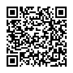 Lien vers votre campagne QRCode - Collecte de fonds