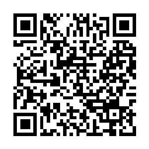 Lien vers votre campagne QRCode - Collecte de fonds