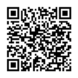 Lien vers votre campagne QRCode - Collecte de fonds