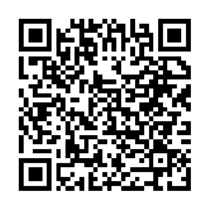 Lien vers votre campagne QRCode - Collecte de fonds