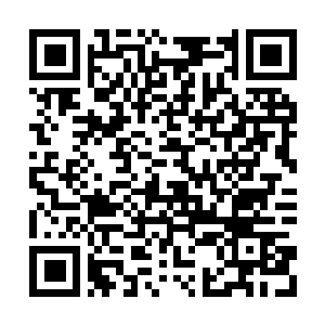Lien vers votre campagne QRCode - Collecte de fonds