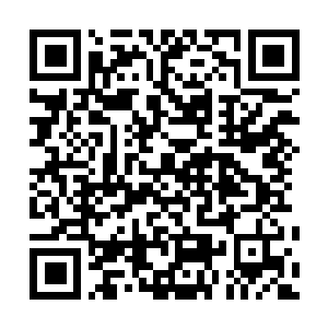 Lien vers votre campagne QRCode - Collecte de fonds