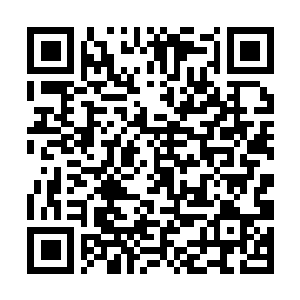 Lien vers votre campagne QRCode - Collecte de fonds