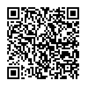 Lien vers votre campagne QRCode - Collecte de fonds