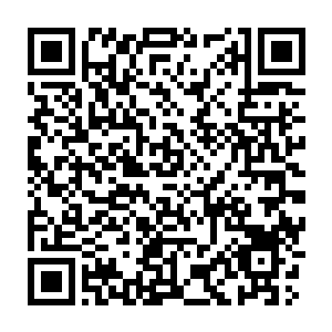 Lien vers votre campagne QRCode - Collecte de fonds