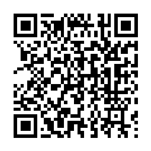 Lien vers votre campagne QRCode - Collecte de fonds
