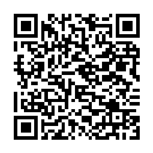 Lien vers votre campagne QRCode - Collecte de fonds
