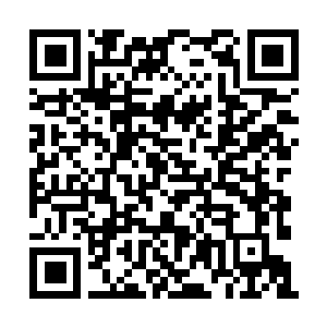 Lien vers votre campagne QRCode - Collecte de fonds