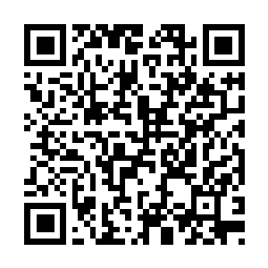 Lien vers votre campagne QRCode - Collecte de fonds