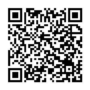 Lien vers votre campagne QRCode - Collecte de fonds