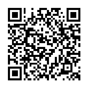 Lien vers votre campagne QRCode - Collecte de fonds