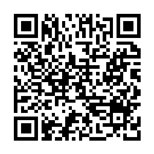 Lien vers votre campagne QRCode - Collecte de fonds