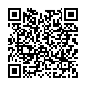 Lien vers votre campagne QRCode - Collecte de fonds