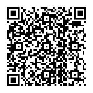Lien vers votre campagne QRCode - Collecte de fonds