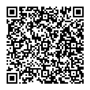 Lien vers votre campagne QRCode - Collecte de fonds