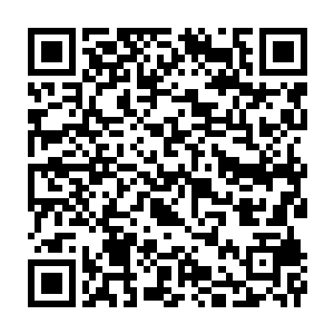 Lien vers votre campagne QRCode - Collecte de fonds