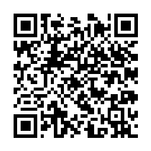Lien vers votre campagne QRCode - Collecte de fonds