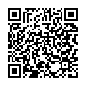 Lien vers votre campagne QRCode - Collecte de fonds