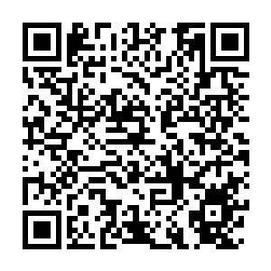 Lien vers votre campagne QRCode - Collecte de fonds