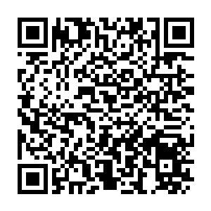 Lien vers votre campagne QRCode - Collecte de fonds