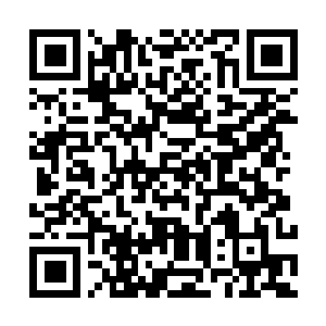 Lien vers votre campagne QRCode - Collecte de fonds