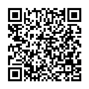 Lien vers votre campagne QRCode - Collecte de fonds