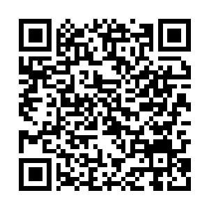 Lien vers votre campagne QRCode - Collecte de fonds