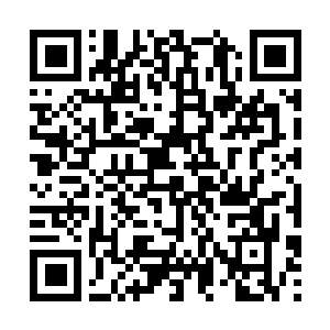 Lien vers votre campagne QRCode - Collecte de fonds