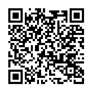 Lien vers votre campagne QRCode - Collecte de fonds