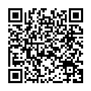 Lien vers votre campagne QRCode - Collecte de fonds