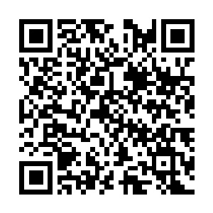 Lien vers votre campagne QRCode - Collecte de fonds
