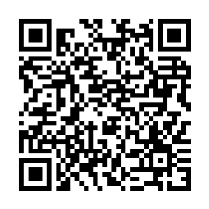 Lien vers votre campagne QRCode - Collecte de fonds