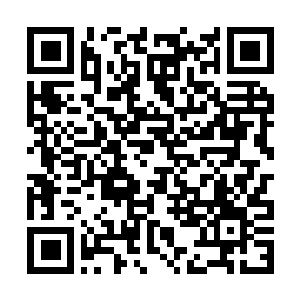 Lien vers votre campagne QRCode - Collecte de fonds