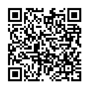 Lien vers votre campagne QRCode - Collecte de fonds