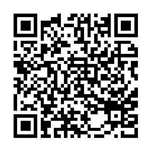 Lien vers votre campagne QRCode - Collecte de fonds