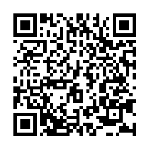 Lien vers votre campagne QRCode - Collecte de fonds
