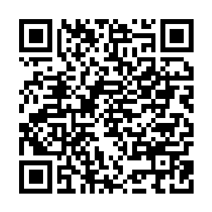 Lien vers votre campagne QRCode - Collecte de fonds