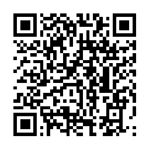 Lien vers votre campagne QRCode - Collecte de fonds