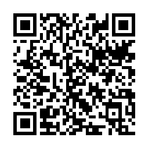 Lien vers votre campagne QRCode - Collecte de fonds
