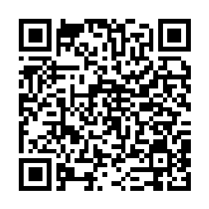 Lien vers votre campagne QRCode - Collecte de fonds