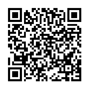 Lien vers votre campagne QRCode - Collecte de fonds