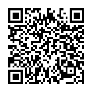 Lien vers votre campagne QRCode - Collecte de fonds