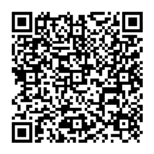 Lien vers votre campagne QRCode - Collecte de fonds