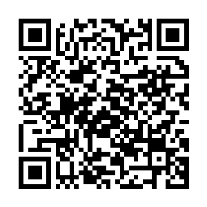 Lien vers votre campagne QRCode - Collecte de fonds