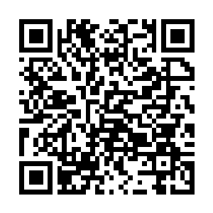 Lien vers votre campagne QRCode - Collecte de fonds