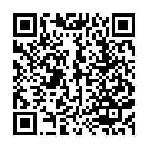 Lien vers votre campagne QRCode - Collecte de fonds