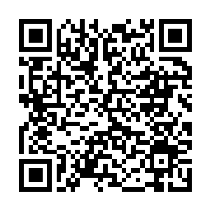 Lien vers votre campagne QRCode - Collecte de fonds