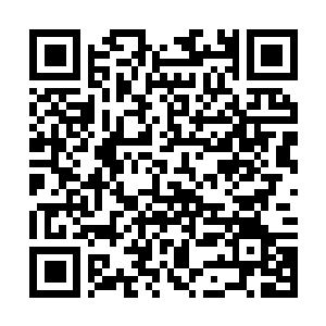 Lien vers votre campagne QRCode - Collecte de fonds