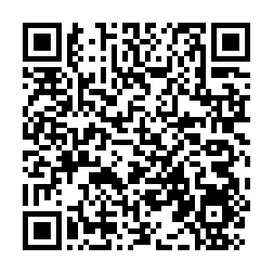 Lien vers votre campagne QRCode - Collecte de fonds